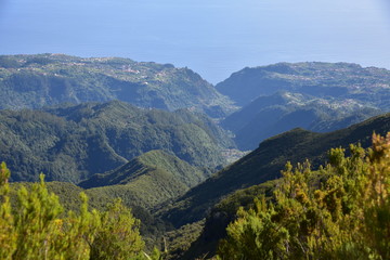Naklejka premium Landscape of green mountains of Madeira Island - view from the trial to Pico Ruivo.