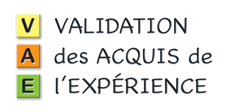 VAE initials in colored 3d cubes with meaning in french language