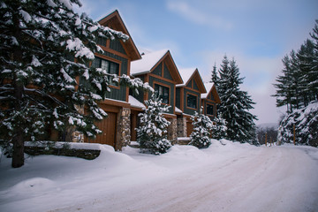 Chalet & cabins in a ski resort