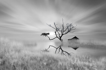 A small house in the land of dreams