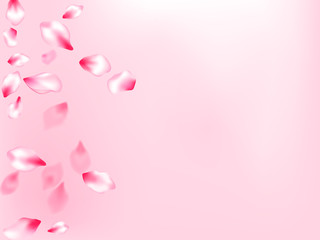 Japanese cherry blossom pink flying petals