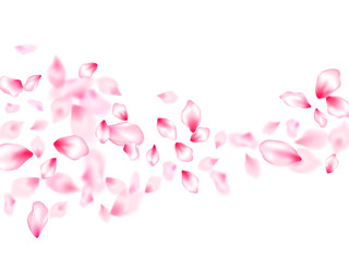 Japanese cherry blossom pink flying petals