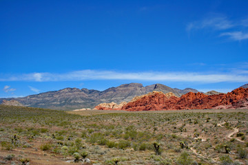 Red Rock Canyon (NV 00036)