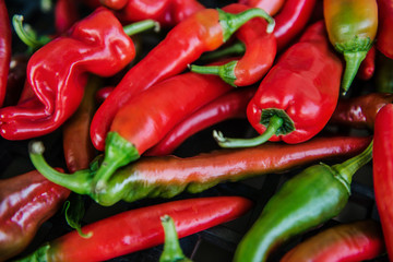 red hot chili peppers