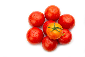Group of organic ripe fresh red tomatoes isolated on white background