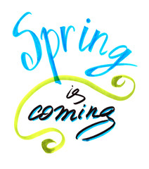 Spring is coming. Handwritten lettering on white background isolated, modern brush pen lettering