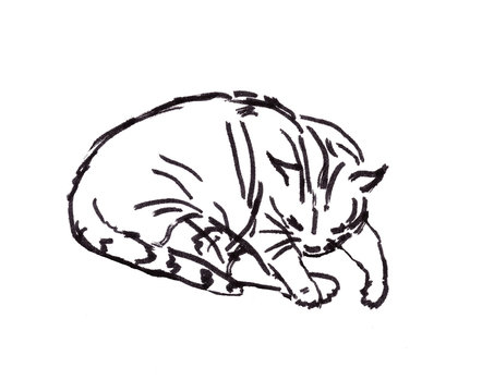 linear black and white drawing of a sleeping cat
