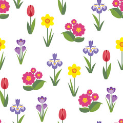 Floral seamless pattern. Vector flat flowers. Spring garden flowers. Simple illustration Crocus, tulip, daffodil, primrose and iris isolated on white background. 