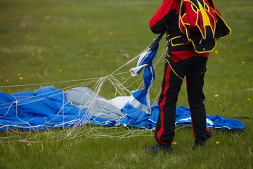 Skydiver collecting the canopy of the parachute lying on the green grass after landing, rear view,...