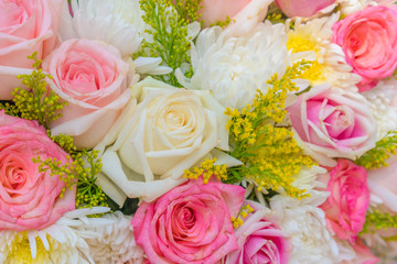 Flower Background and Set of Various flowers. Daisy, Carnation, Rose Flowers
