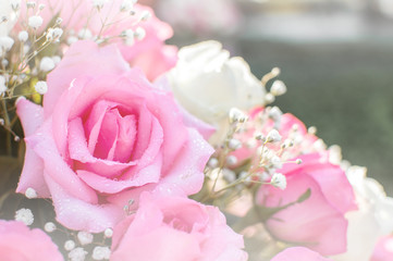 Pink roses, natural beauty background images suitable for Valentine's Day festivals