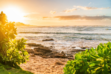Hawaii beach landscape at sunset Oahu island Aloha summer travel destination.