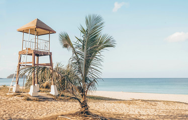 rescue tower and palm on sandy beach. romantic travel, summer season, Vacation beach relax concept.  copy space