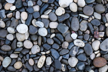 small colored pebbles background Wallpaper