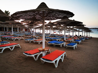 beach in the egypt