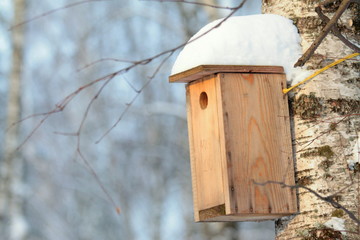 Wooden birdhouse hanging on tree in park on clear winter day