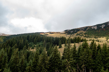 Autumn view of Bucegi Mountains, Bucegi National Park, Romania, perfect day for hiking