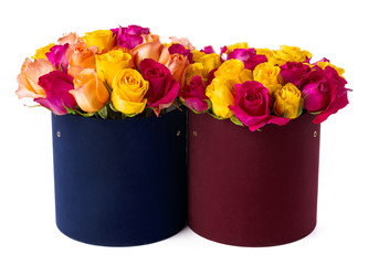 Beautiful boxes with fresh roses isolated on white background