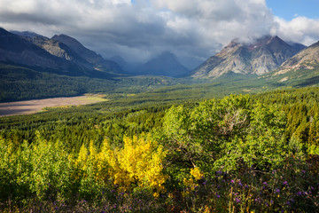 Obraz premium Glacier Park