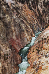 Yellowstone canyon