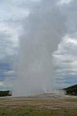 Old Faithful (WY 00615)