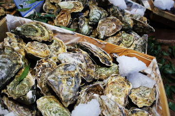 Fresh oysters on ice for sale at a seafood market.