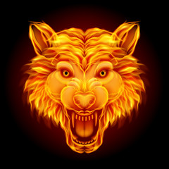 Fire wolf head isolated on black background