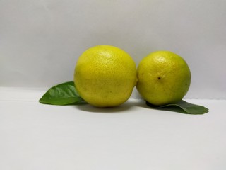 Lime on a white background