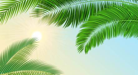 Illustration sun rays through the palm trees.