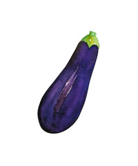 Watercolor hand drawn eggplant, isolated on white background.