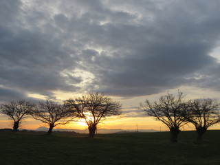 Fototapeta na wymiar Colori del tramonto