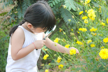 Little asian girl uses a magnifying glass to look at insects , Outdoor portrait , Thailand.