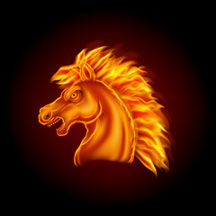 Fire horse head isolated on black background