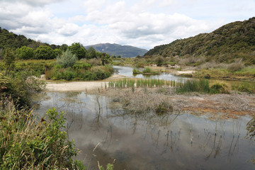Fototapeta na wymiar Lake Rotomahana im Waimangu Volcanic Rift Valley. Neuseeland