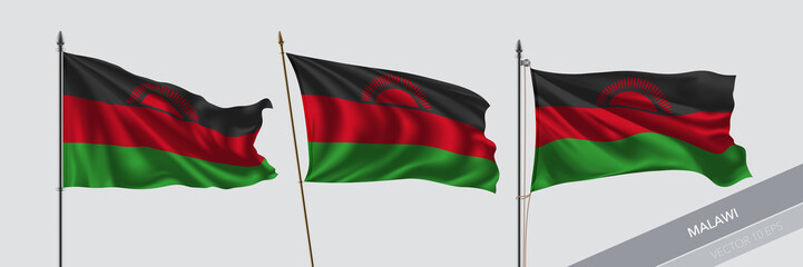 Set of Malawi waving flag on isolated background vector illustration