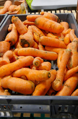 organic carrots on the market place