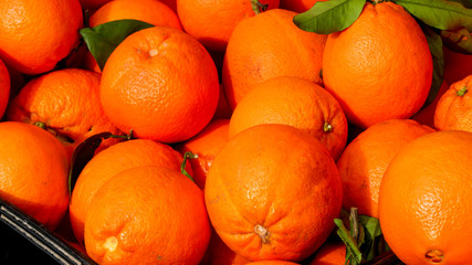 Fresh organic oranges on market place.