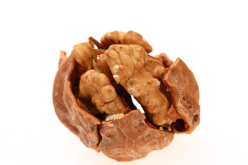 Walnuts on a white background