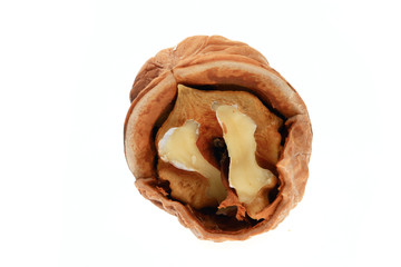 Walnuts on a white background