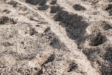 Close up of sand