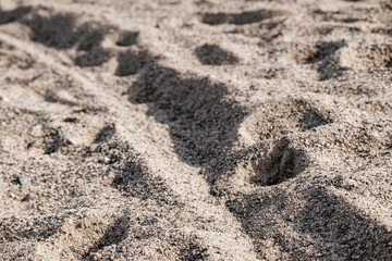 Close up of sand