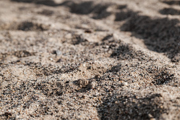 Close up of sand