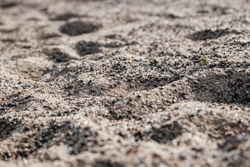 Close up of sand