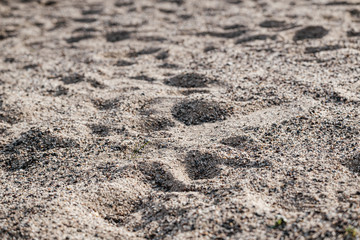 Close up of sand