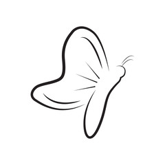 Butterfly icon logo vector