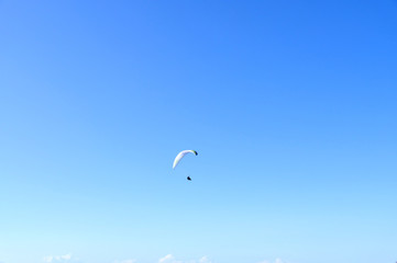 kite in the sky