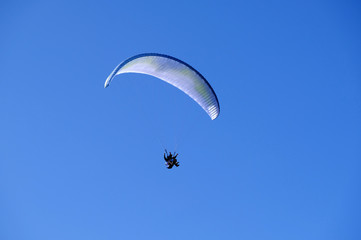 paraglider in the sky