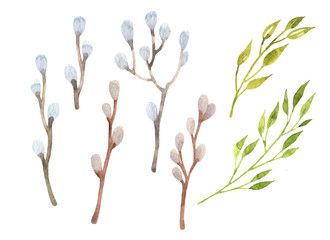 Easter willow set watercolor. Hand drawn leaves and branches. Easter design elements isolated on white background. © elenavic