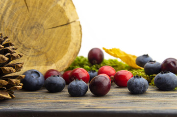 Autumn or fall still life with berries