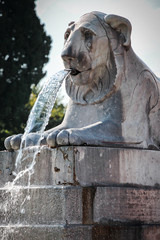 Fototapeta na wymiar Statua della fontana del Leone in Piazza del Popolo, Roma
